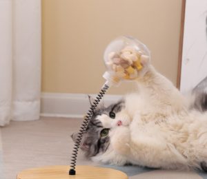Catty Balboa - Kula na przysmaki dla kota